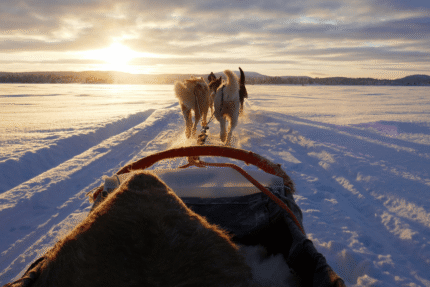 White Adventure