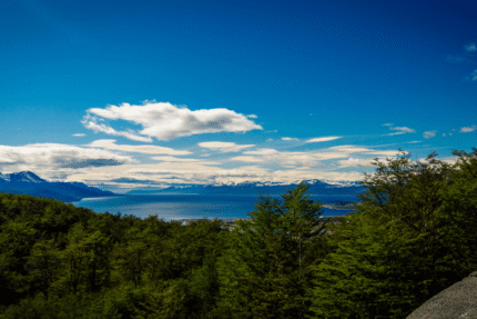 Airport In/Out + National Park + Beagle Channel Lobos + Fueguino's Lakes